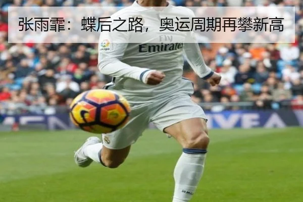 张雨霏：蝶后之路，奥运周期再攀新高
