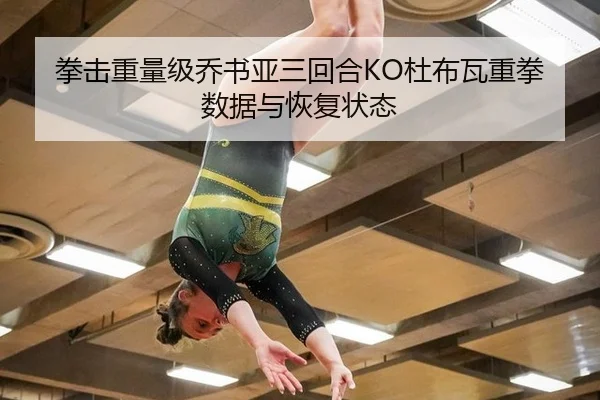 quan-ji-zhong-liang-ji-qiao-shu-ya-san-hui-he-du-bu-wa-zhong-quan-shu-ju-yu-hui-fu-zhuang-tai-3-562.jpg